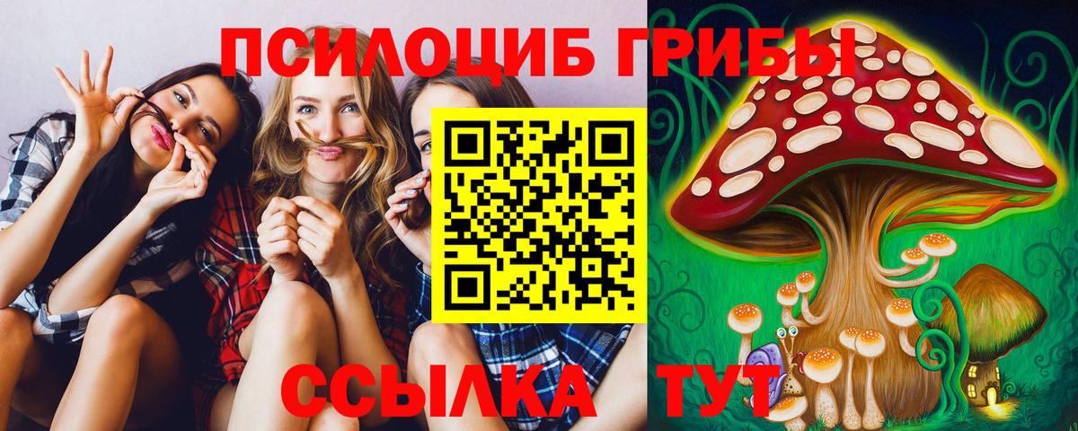 Псилоцибиновые грибы Psilocybine cubensis  Псилоцибиновые грибы Psilocybe  Бахчисарай  Вход с VPN 